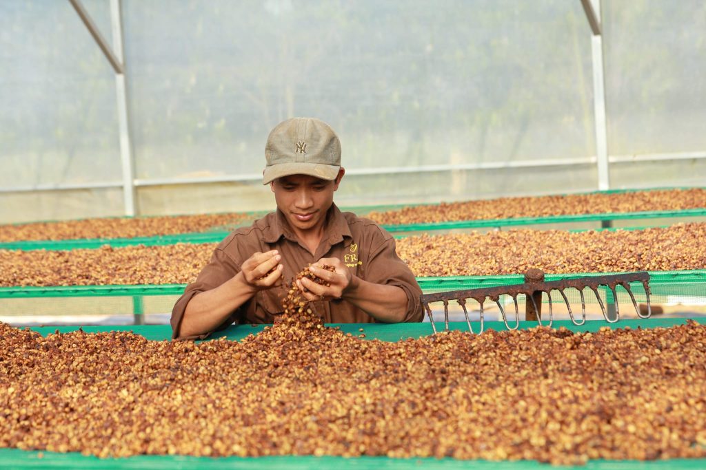 Fine Robusta Đắk Nông – chuyển đổi số để đáp ứng nhu cầu người tiêu dùng