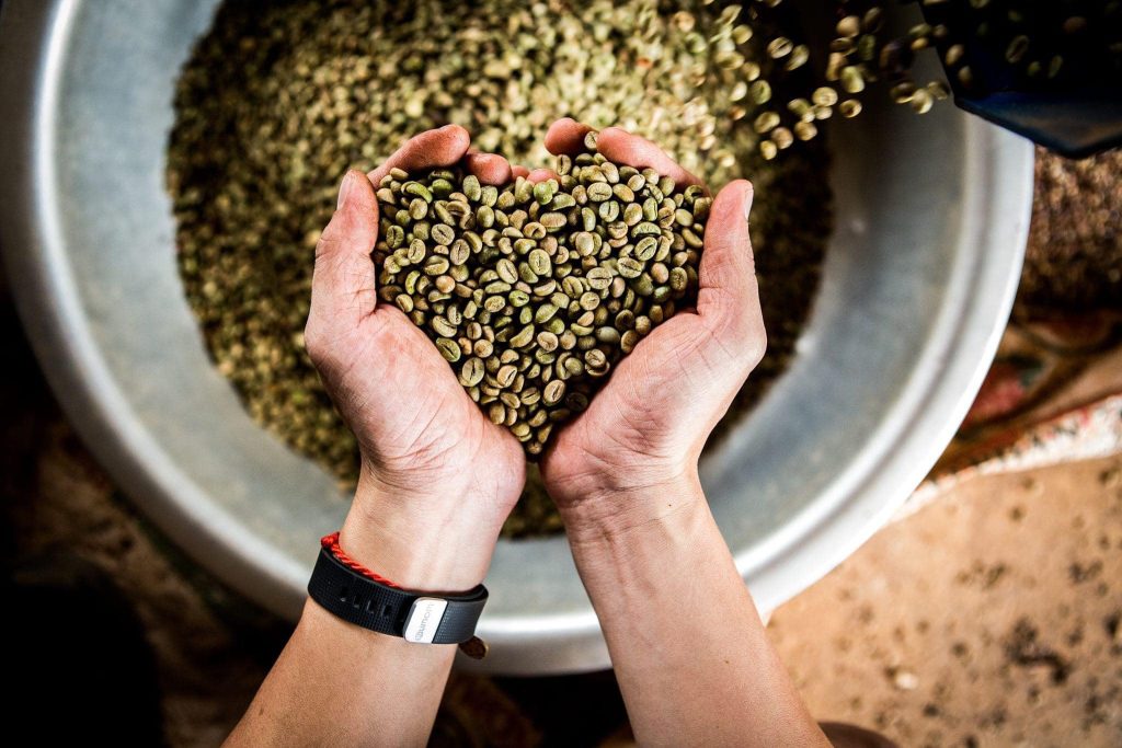 Fine Robusta Đắk Nông – sản xuất cà phê sạch