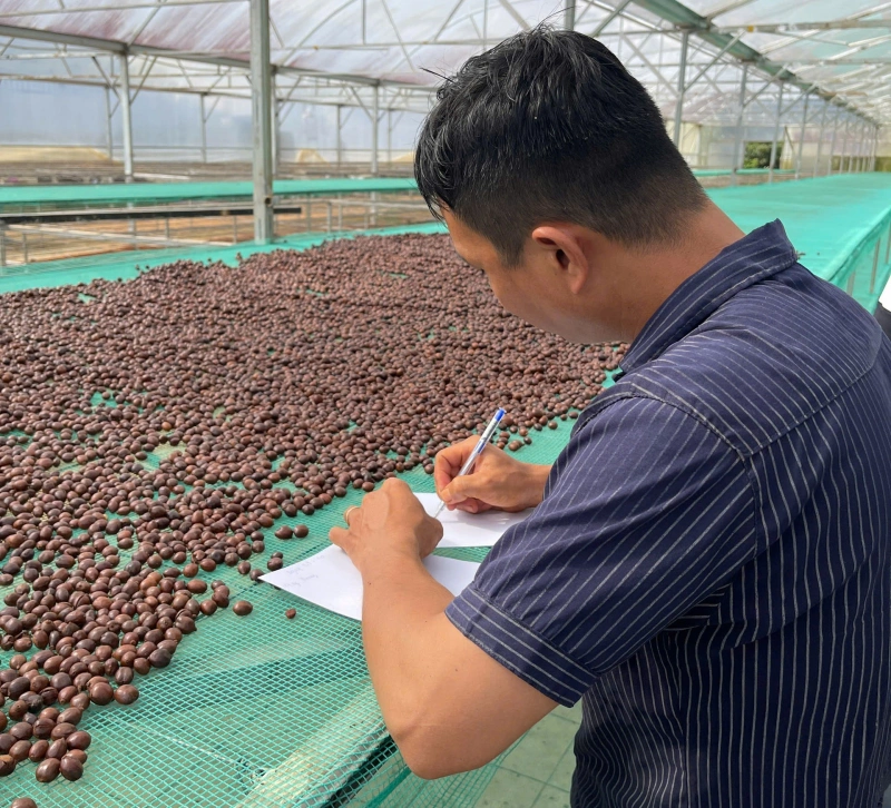 Fine Robusta chế biến Natural tiêu chuẩn