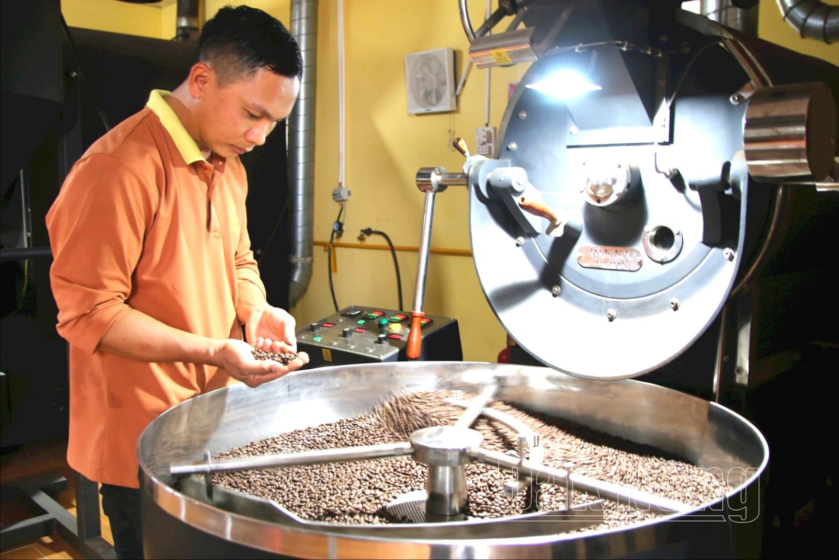 Fine Robusta Daknong mở khóa đào tạo rang cà phê