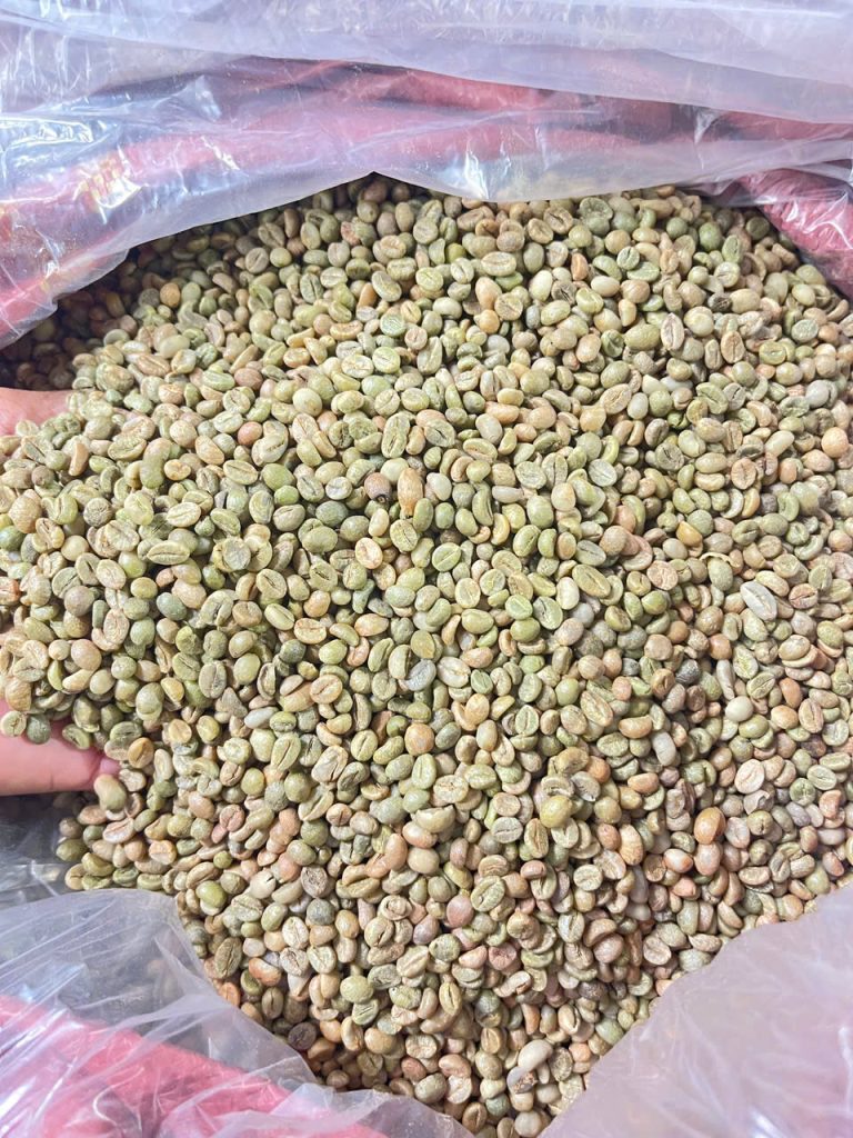 Chế biến Honey Process, giữ gìn hương vị và giá trị tự nhiên của Fine Robusta Đắk Nông