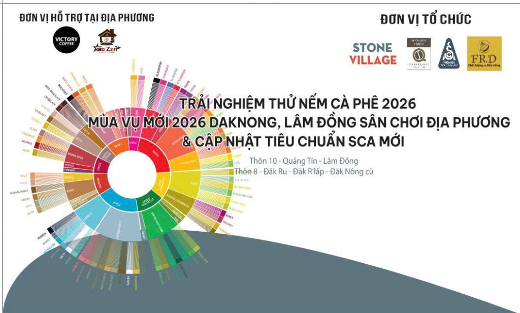 FRD và Stone Village Lab tổ chức đánh giá chất lượng cà phê Robusta